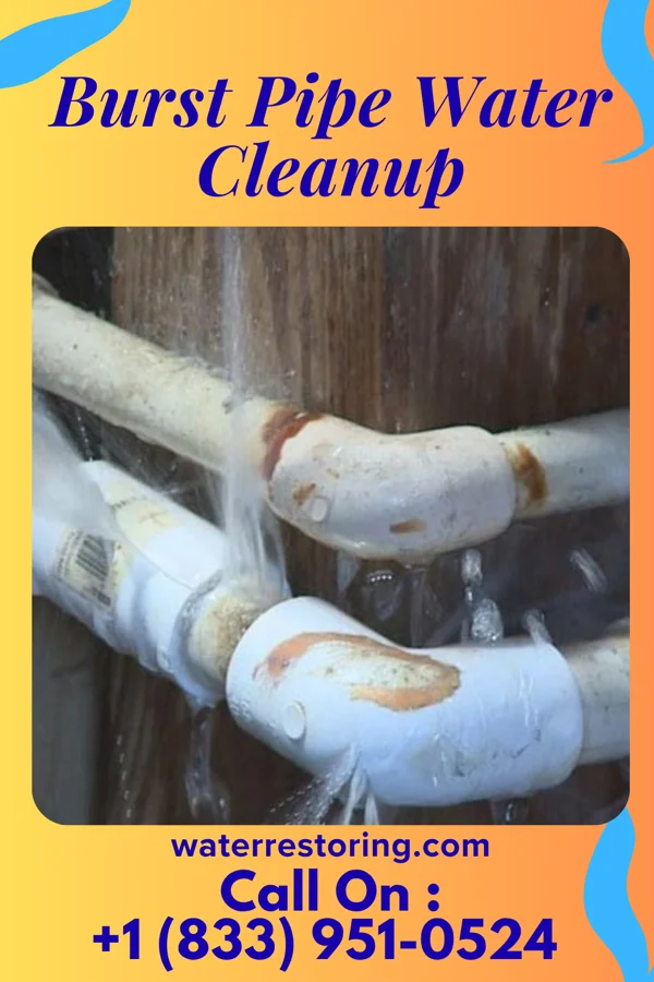 Burst Pipe Water Cleanup in Belleair, FL